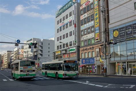 福井 バスツアー：伝統と現代が交錯する旅の魅力