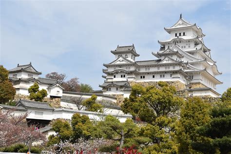 兵庫県 日帰り ドライブ - なぜか突然、カエルが運転席に現れる