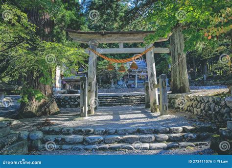 難波八坂神社 アクセス 出口: なぜ出口が神社の入り口よりも人気なのか？